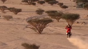 Одиннадцатый этап (14.01.2021) гонки Дакар-2021 | лучшее | грузовики | внедорожники | мотоциклы