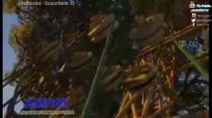 Madagascar 2  parte 3