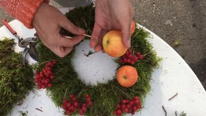 Веночек из мха, ягод и яблок. Флористический венок.