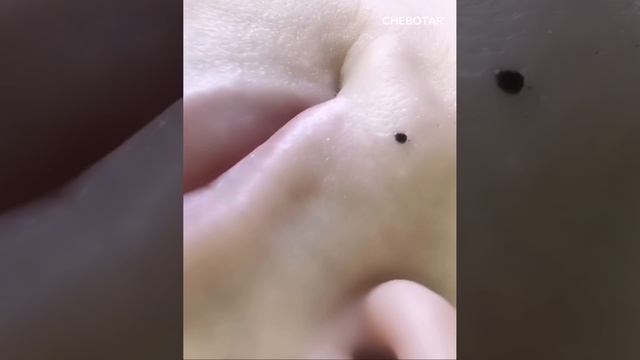 РОДИНКА, МУШКА | ПЕРМАНЕНТ, ТАТУАЖ, ТАТУ ЭЖВА ©CHEBOTAR' |  Эжва Сыктывкар CHEBOTAR'