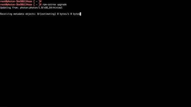Upgrading the Existing OS on VMware Photon смотреть онлайн