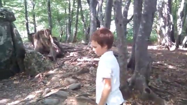 Дольмен. Адыгея. смотреть онлайн