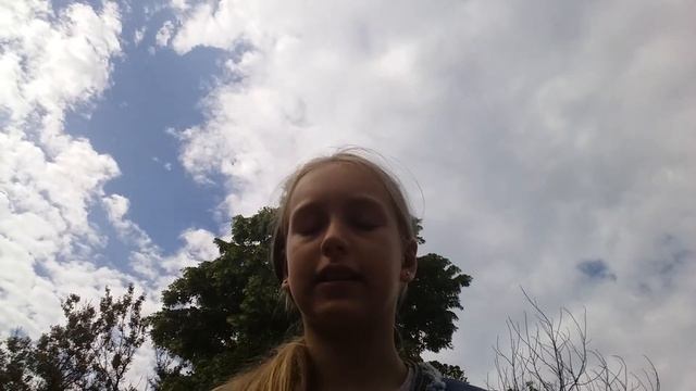 ТАТУИРОВКА ПеРо и ВиШеНкА смотреть онлайн