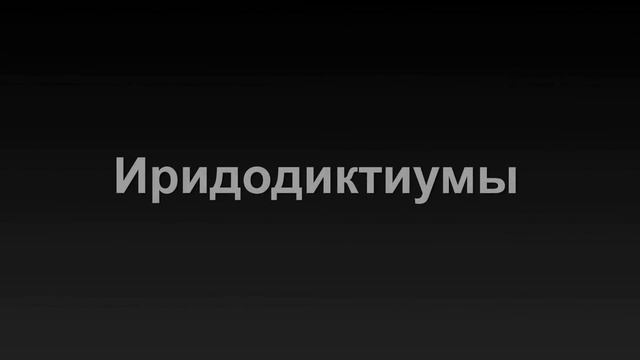 Неприхотливые ЦВЕТЫ для вашего САДА