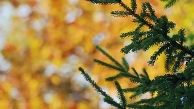 Ошо БУДЬ САМИМ СОБОЙ#Просветление#Пробуждение