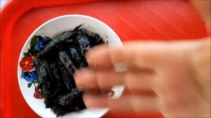 Чай из листьев мелисы мяты ,малины,вишни,смородины ,заготовка и ферментация