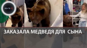 Лера Изумруд привела домой дикого медведя | тиктокершу проверяет полиция