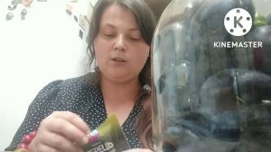 Квашені сливи. Рецепт квашених слив на зиму. Сливи до м'яса.