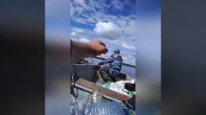 Коткозерская рыбачка