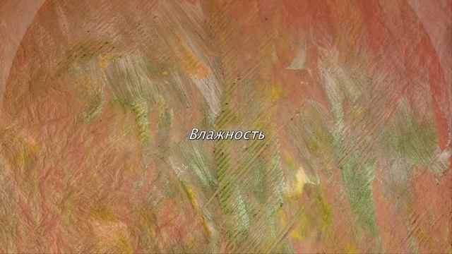 КАЛАТЕЯ из семейства марантовые. Правила ухода в домашних условиях смотреть онлайн