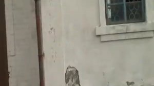 Краснодарский край отрадненский район ст удобная.