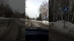 28 02 2021 Приехали в Кульчаны, Новокузнецкого района. В Лес.