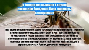 В Татарстане выявили 4 случая лихорадки Западного Нила, пациенты в стационаре