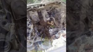 Рено Меган 2 сцепление