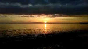 VID-20230403-WA0009.mp4