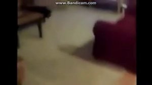 Прикол .Собирайся  Едем на дачу