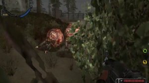 Тайник возле лесопилки. СВД. S.T.A.L.K.E.R.: Call of Pripyat. Сталкер: Зов Припяти