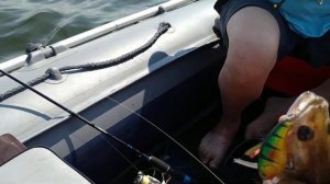 Троллинг 1 й судачек Белоярское водохранилище