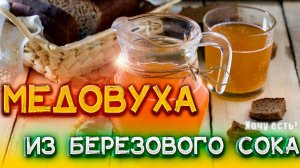ЭЛЬ ИЗ БЕРЕЗОВОГО СОКА. Как приготовить МЕДОВУХУ В ДОМАШНИХ УСЛОВИЯХ