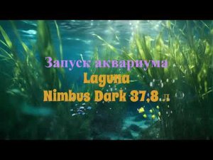Искусственное море с лавой в аквариуме  Laguna  Nimbus Dark 37,8 л