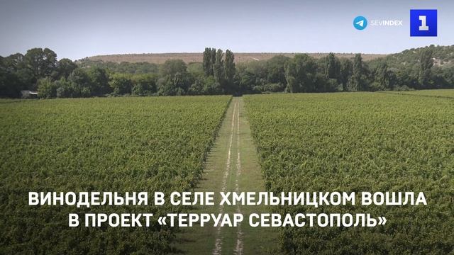 Терруар севастополь проект