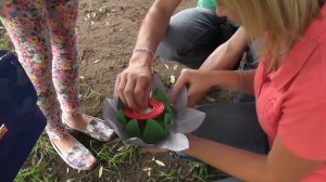 Знаешь, все это и есть любовь