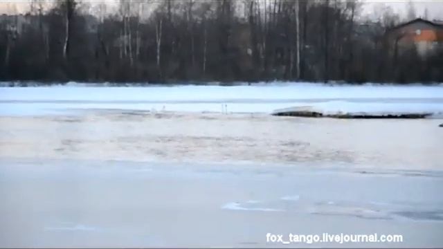 Лебеди в марте. Вуокса 2013. смотреть онлайн