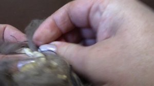Помпон для шапки из старого мехового воротника