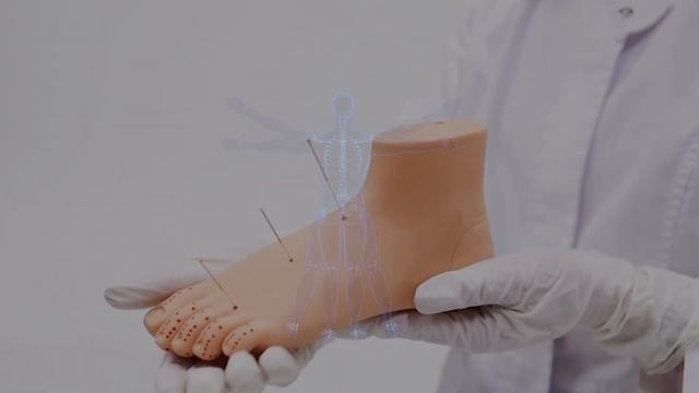 Как работает наша Вселенная и всё живое на планете Земля смотреть онлайн