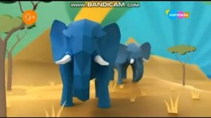 Лапы, морды и хвосты