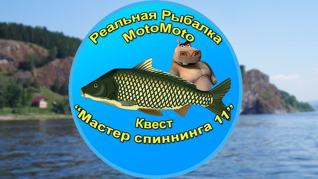 Квест 