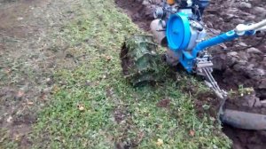 Вспашка мотоблоком 19 октября 17 г.