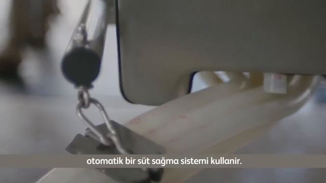 Friso Turkey смотреть онлайн