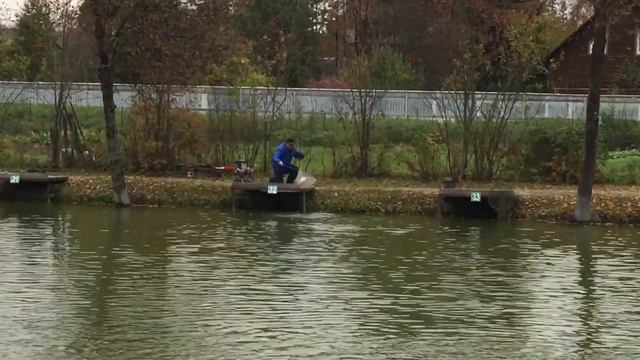 Поимка форели на спиннинг. РК Фишка Липки смотреть онлайн