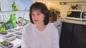 Первая подкормка!