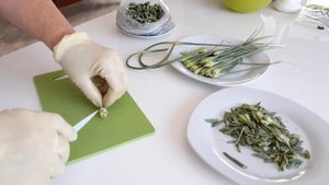 Чесночные стрелки от вредителей и болезней