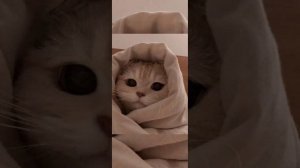 sped up DILOVAR э давай э давша э