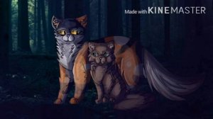 Теории по котам воителям 1 ) Сумрачный лес