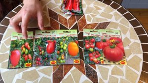 ТОМАТЫ О КОТОРЫХ ВЫ НЕ ЗНАЛИ. СЕМЕНА от фирмы ТомАгроС. СЕМЕНА ТОМАТОВ НА 2022 год. ОБЗОР СЕМЯН.