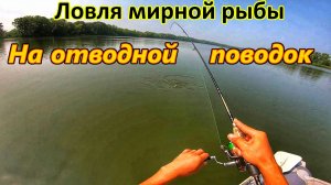 ОТВОДНОЙ ПОВОДОК/ЛОВЛЯ МИРНОЙ РЫБЫ НА ОТВОДНОЙ/ РЫБАЛКА НА СПИННИНГ/ЛОВЛЯ ГУСТЕРЫ/ РЫБАЛКА В САМАРЕ