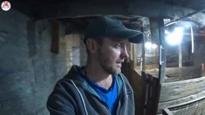 Гигантиха свинья ?породы пьетрен опоросилась?. Сделал электрику в свинарнике ?