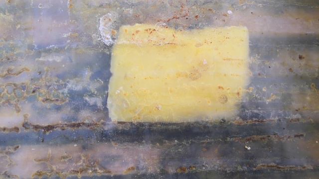 Весенняя подкормка пчёл. смотреть онлайн