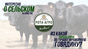 Интересно о сельском хозяйстве