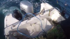 Троллинг симы в Хасанском районе