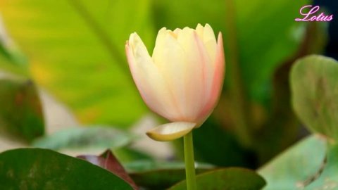 Практика "Развитие Внутренней Силы"