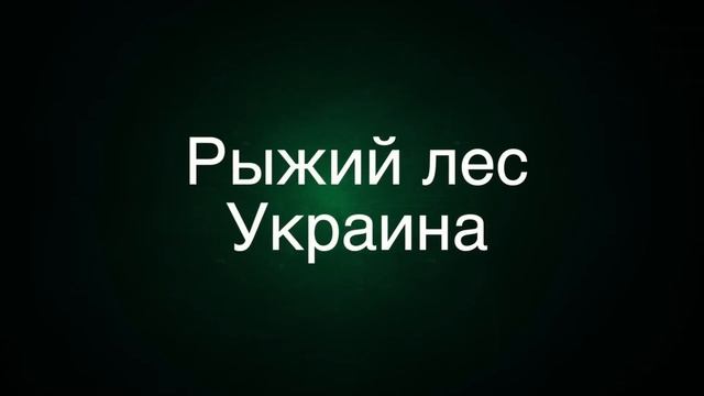 Самые страшные леса | топ 10