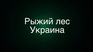 Самые страшные леса | топ 10