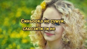 Синьоока - Гурт "Зоряна ніч"