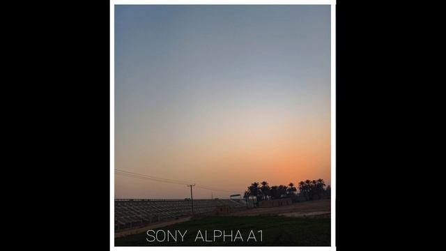 Sony Alpha A1 Vs Sony A9 III Low Light Camera Test