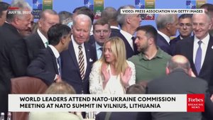 Володимир и гарбуз ? #саммитнато